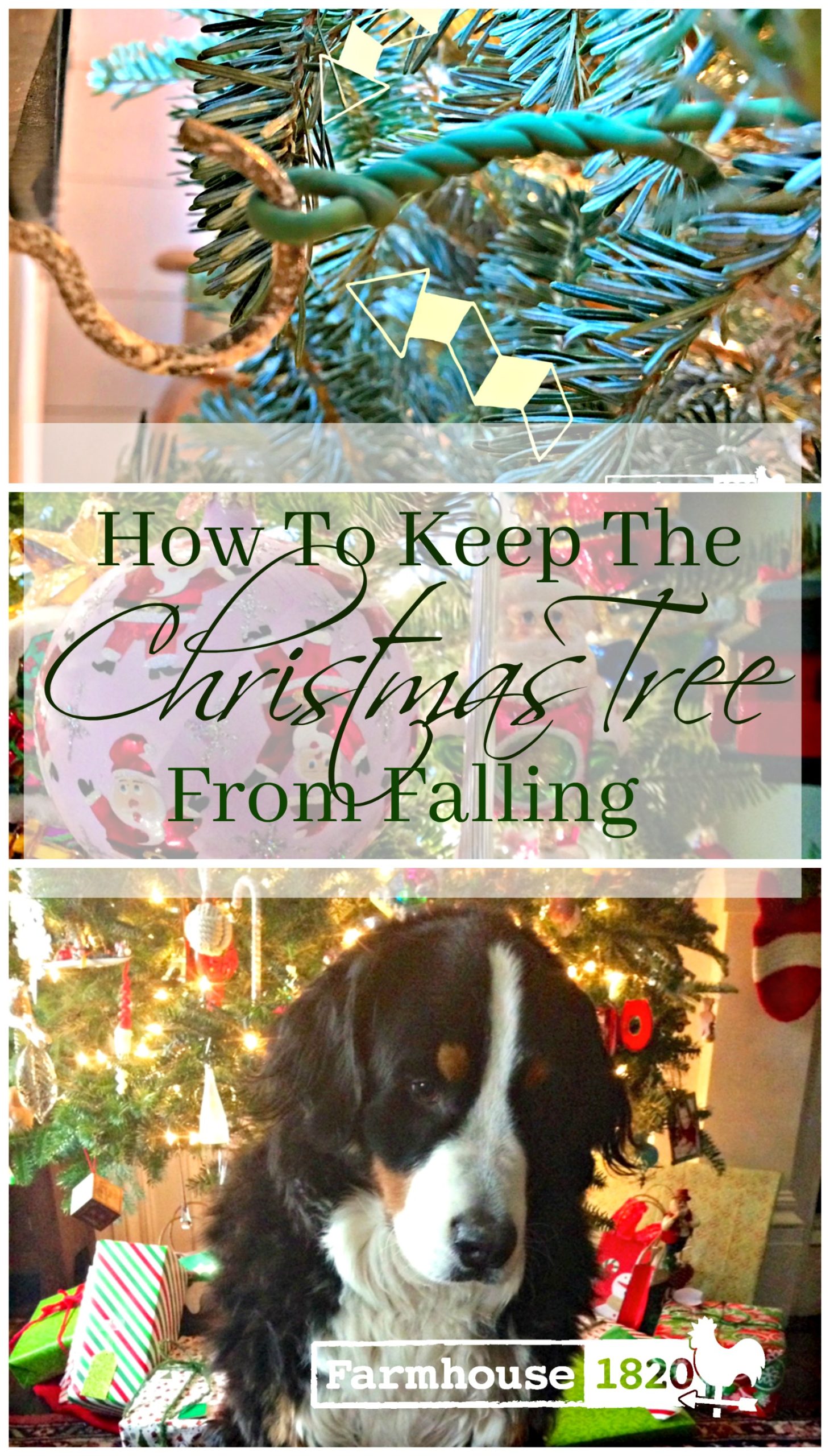 Christmas tree - how to keep the Christmas tree from falling