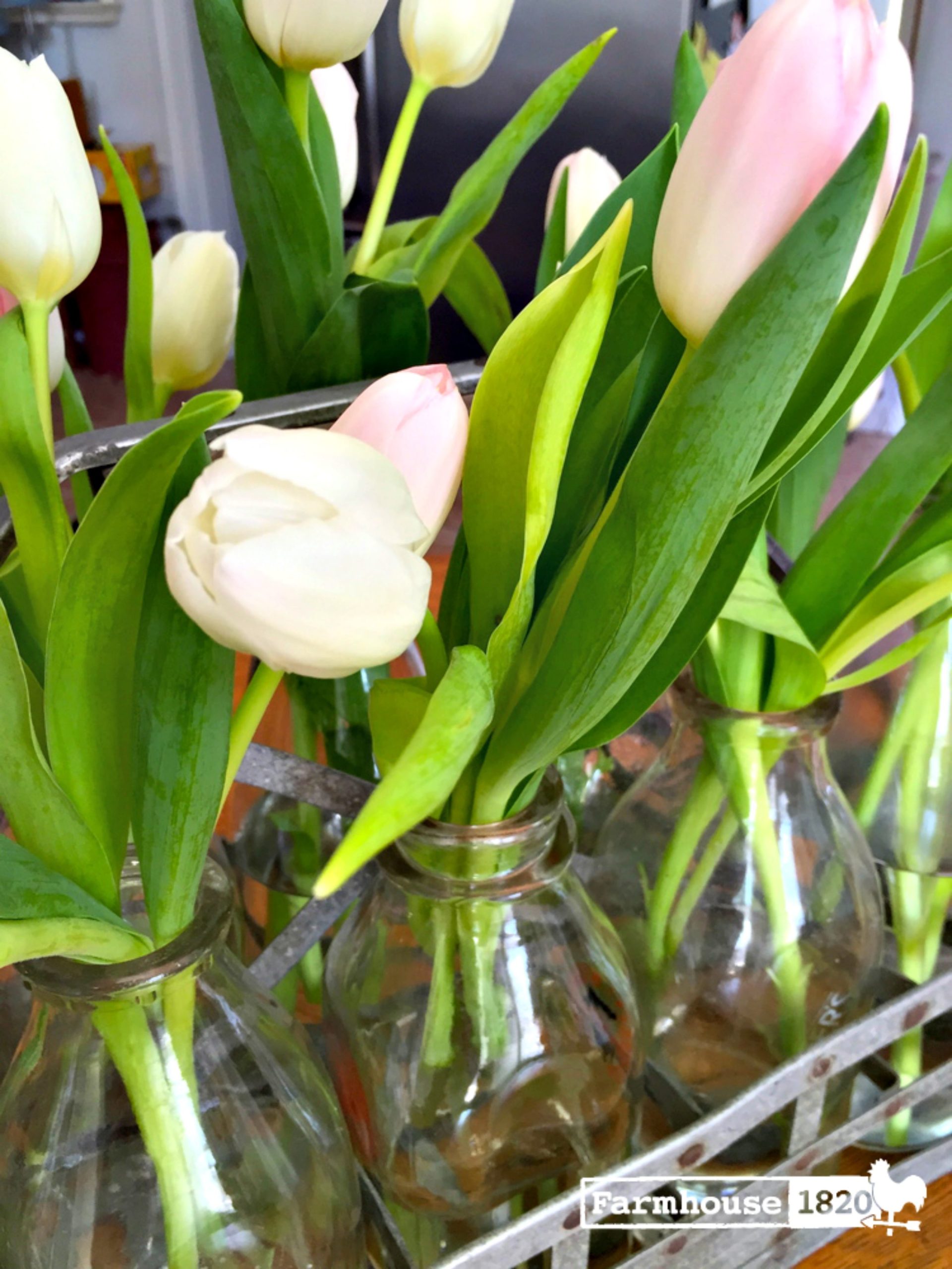 galvanized milk crate - an arrangement of tulips