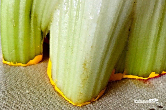 craft - how to use celery as a paint stamp for napkins