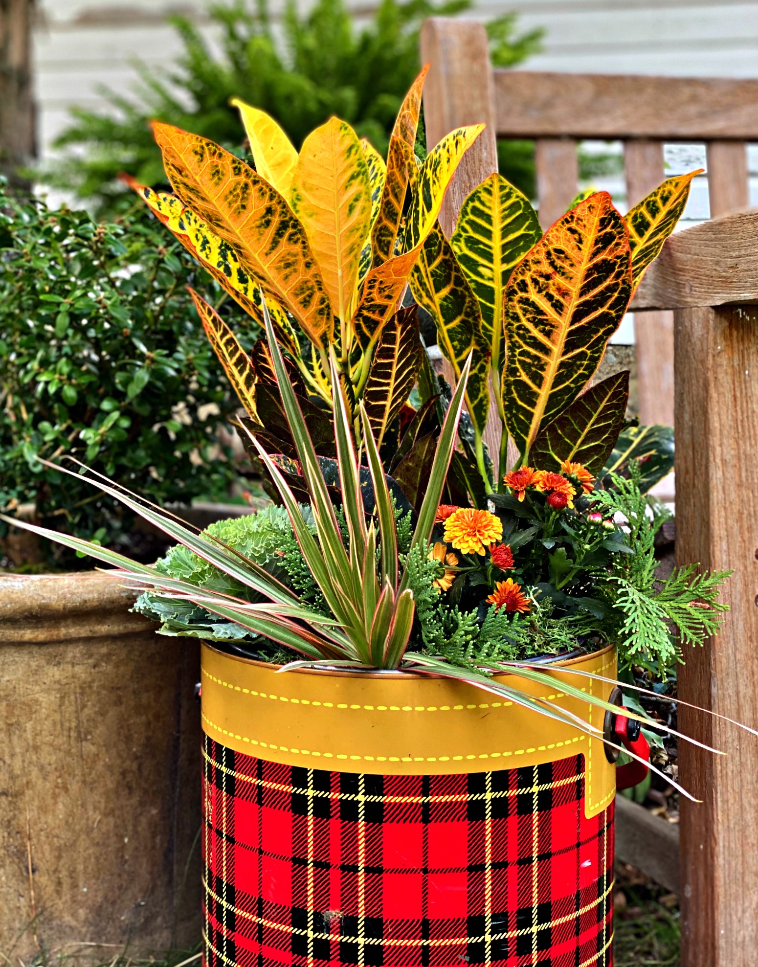 3 important tips for planting a fall container