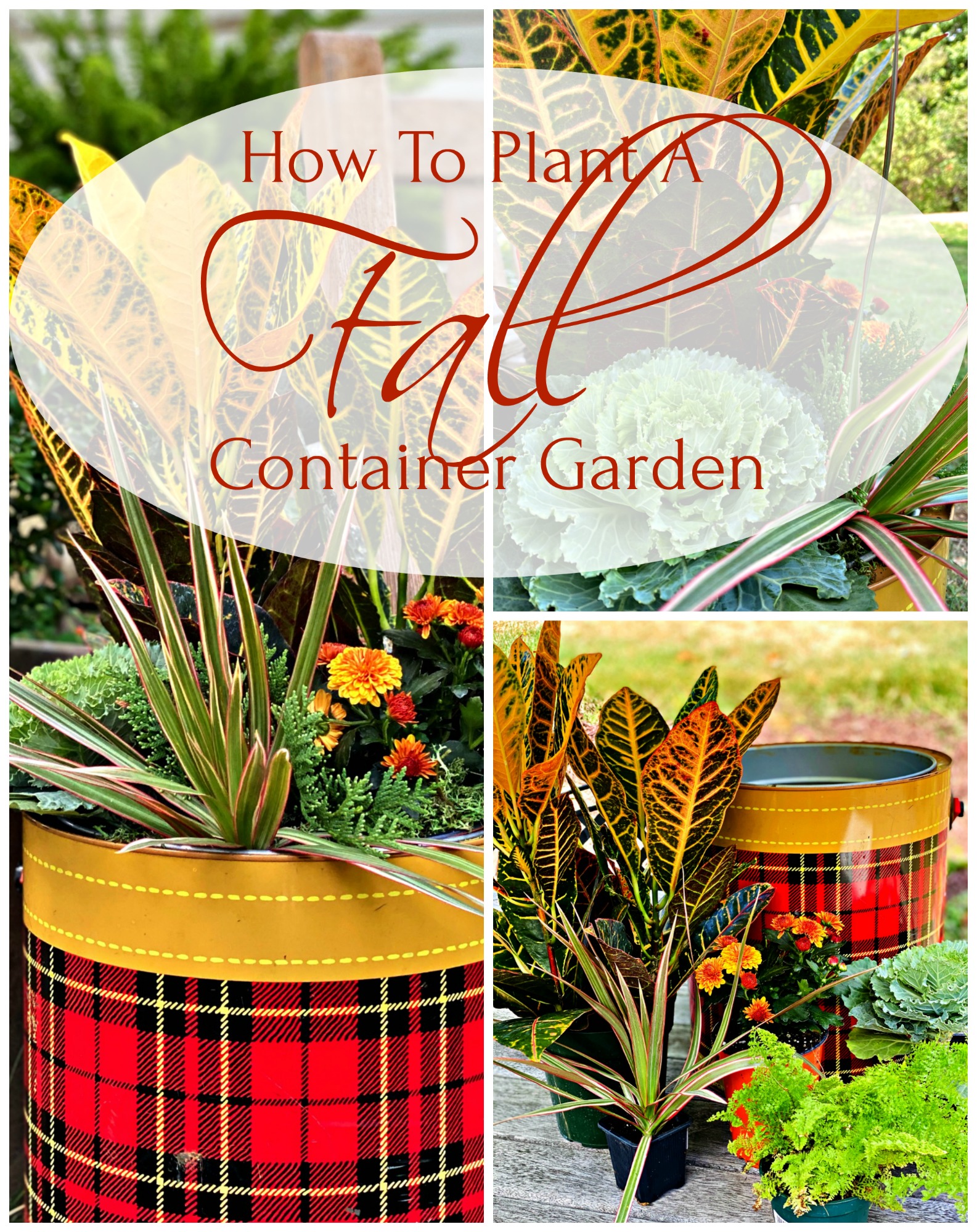 how to plant a fall container garden