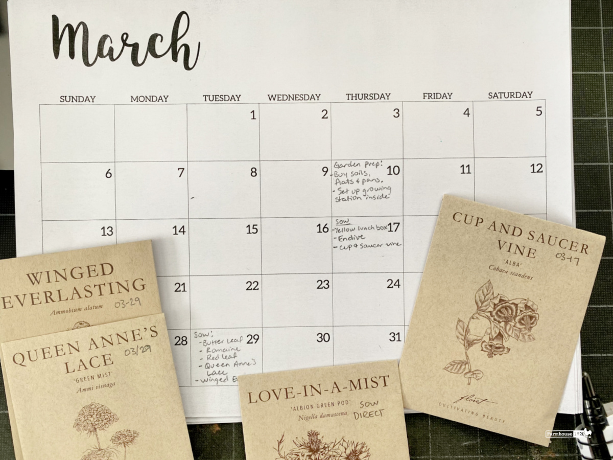 vegetable garden design and planning