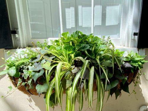 Window Planer 15 Beautiful Window Box Planter Design Ideas - Farmhouse 1820