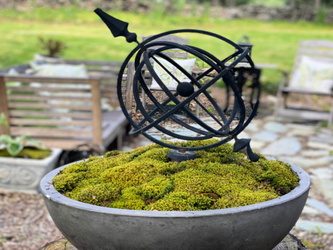 Garden Craft, Adding Moss To Containers